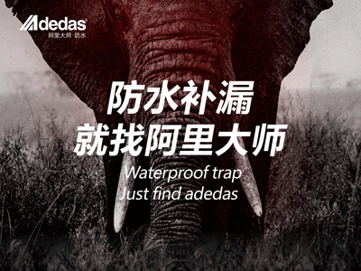 ADEDAS|“阿里大师，大师补漏”——阿里防水品牌名片